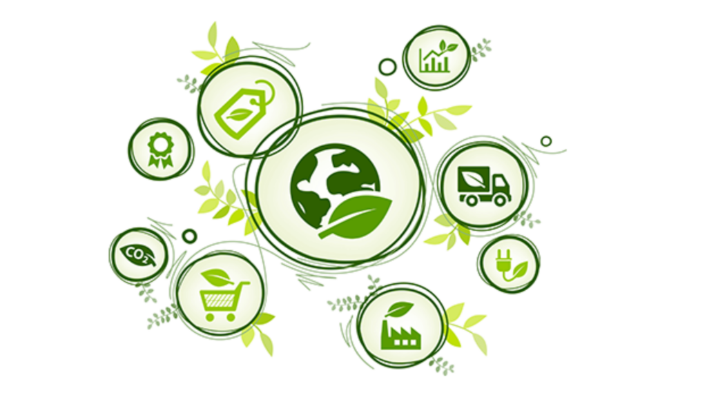 Amazon Sellers can Adapt to the Sustainability Trend