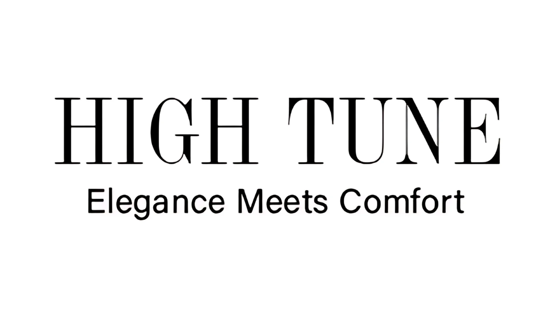 High-Tune-Logo-Banner