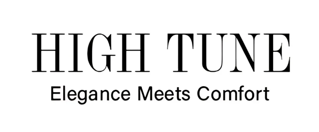 High-Tune-Logo-for-Success-Story