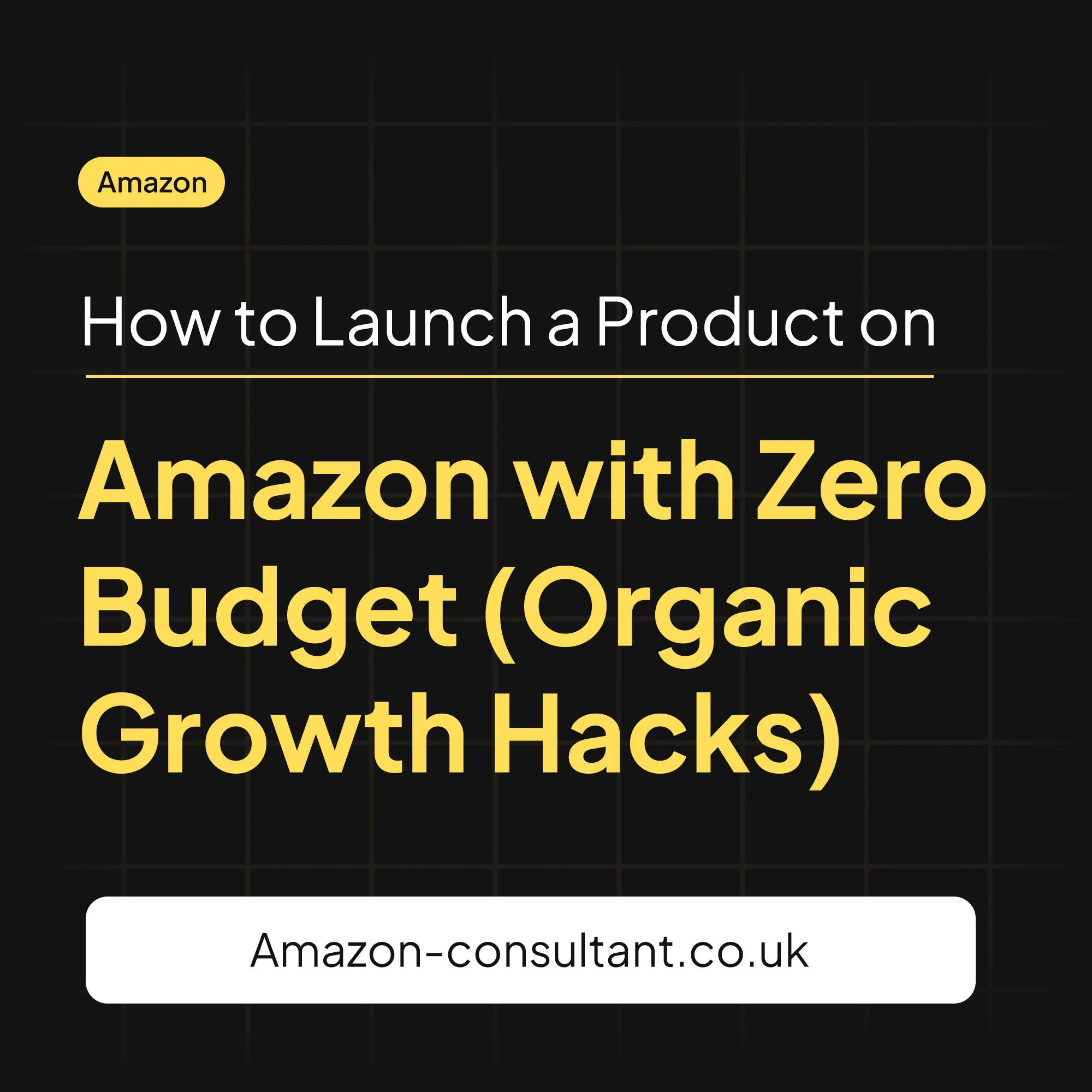 How to Launch a Product on Amazon with Zero Budget (Organic Growth Hacks)