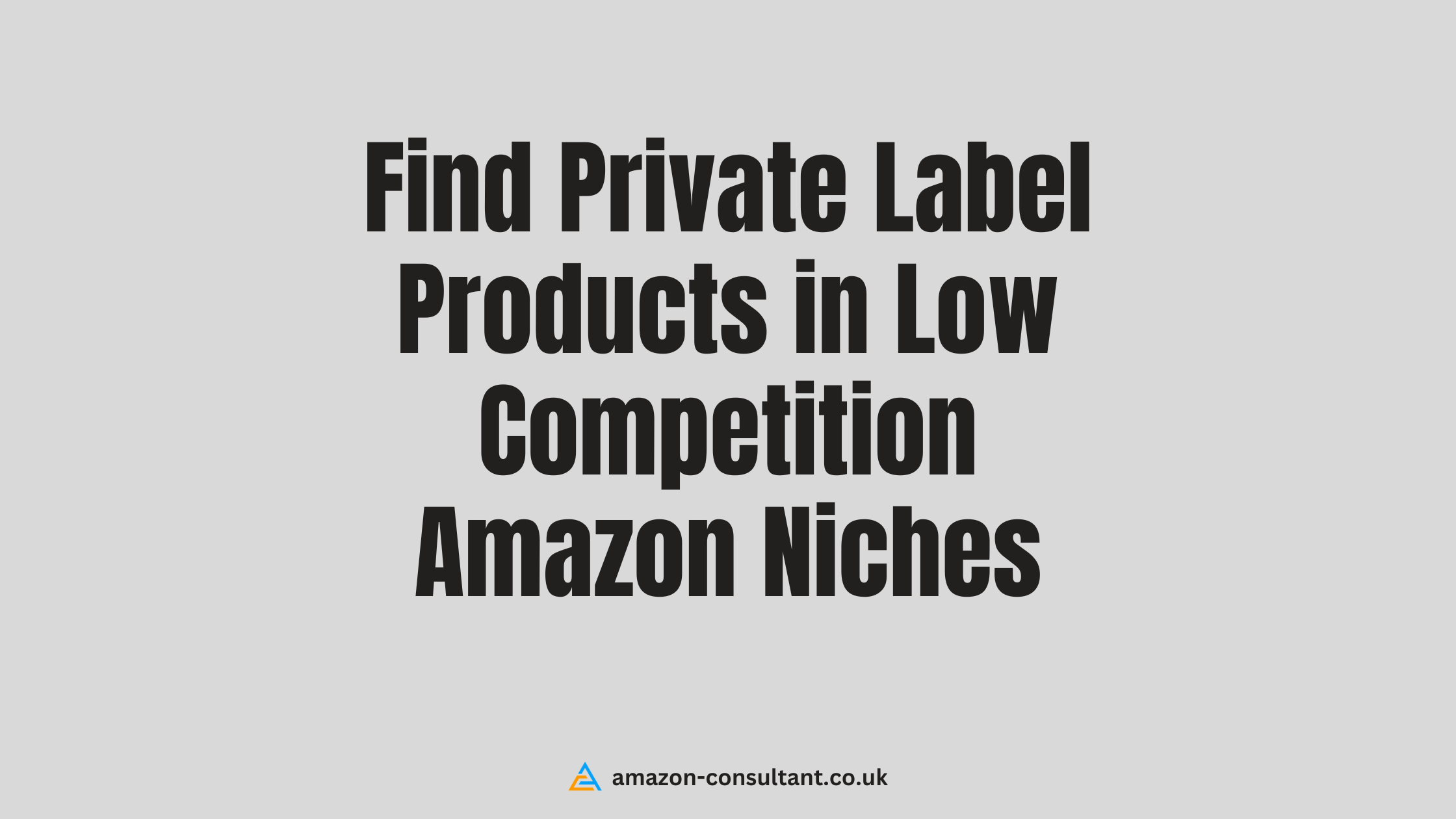 Find-Private-Label-Products-in-Low-Competition-Amazon-Niches