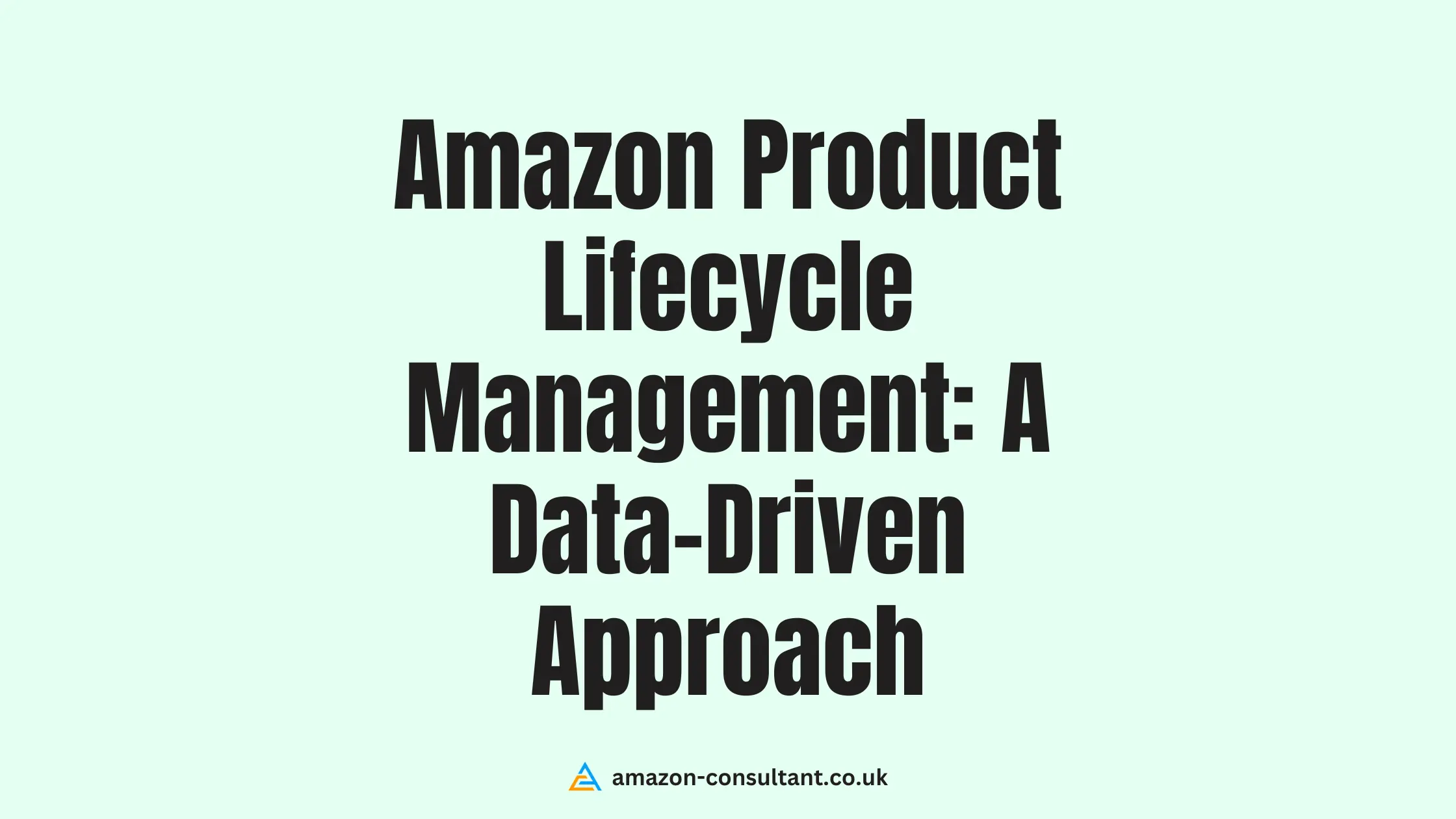 Amazon-Product-Lifecycle-Management--A-Data-Driven-Approach
