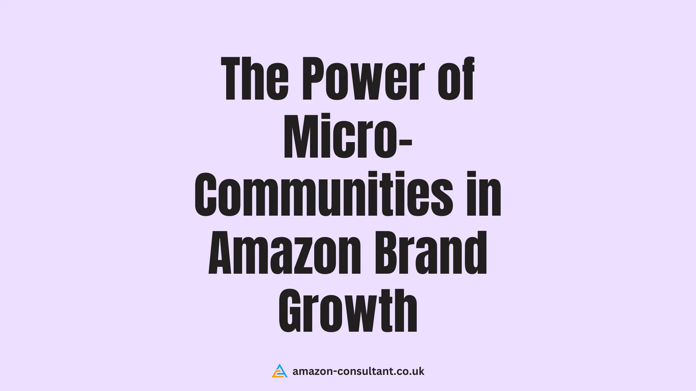 The-Power-of-Micro-Communities-in-Amazon-Brand-Growth