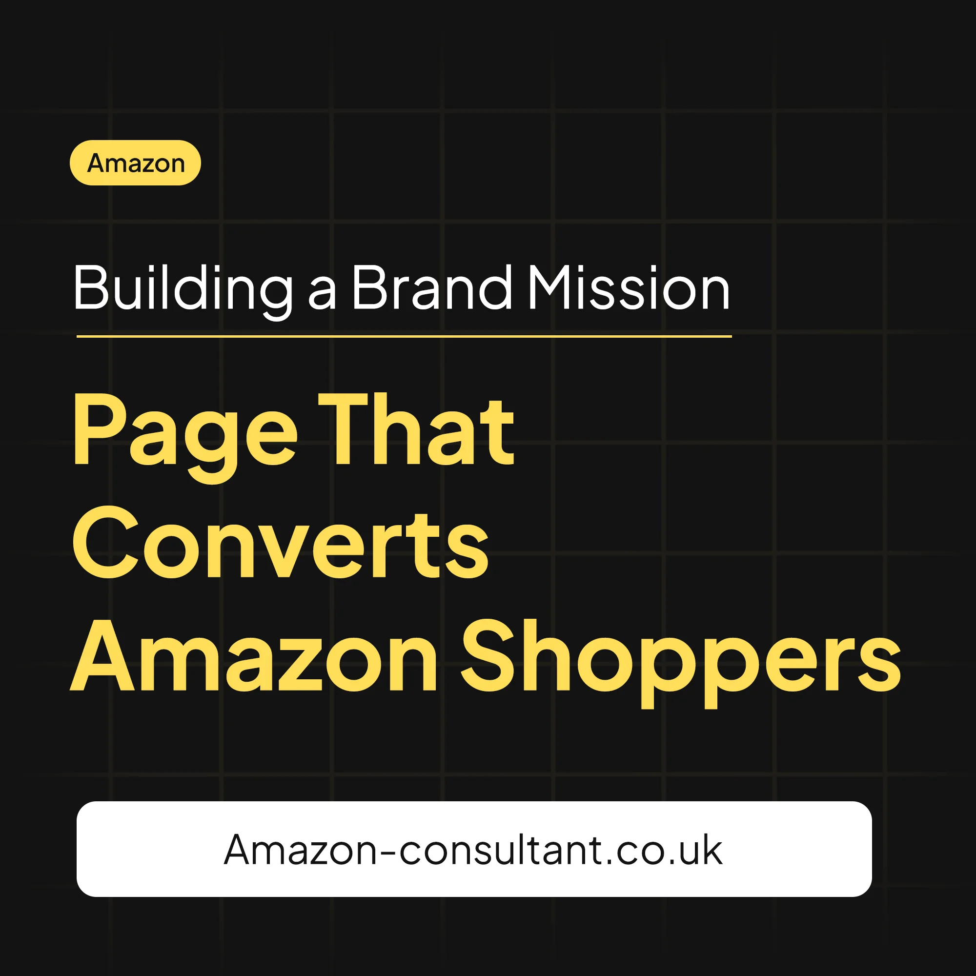 brand-mission-page-that-converts-amazon-shoppers
