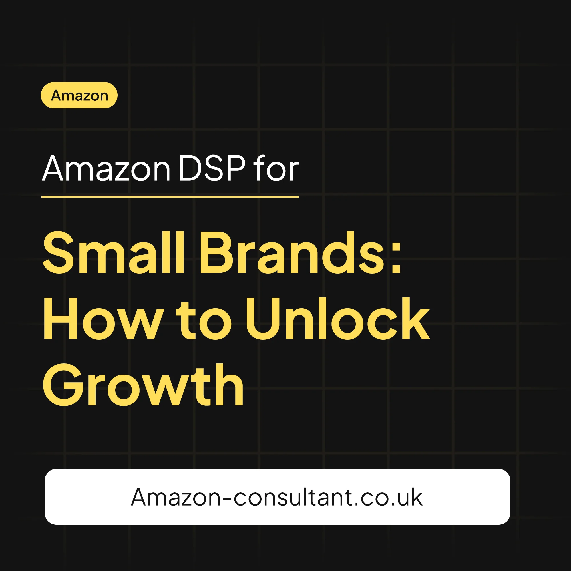 Amazon DSP for Small Brands: How to Unlock Growth