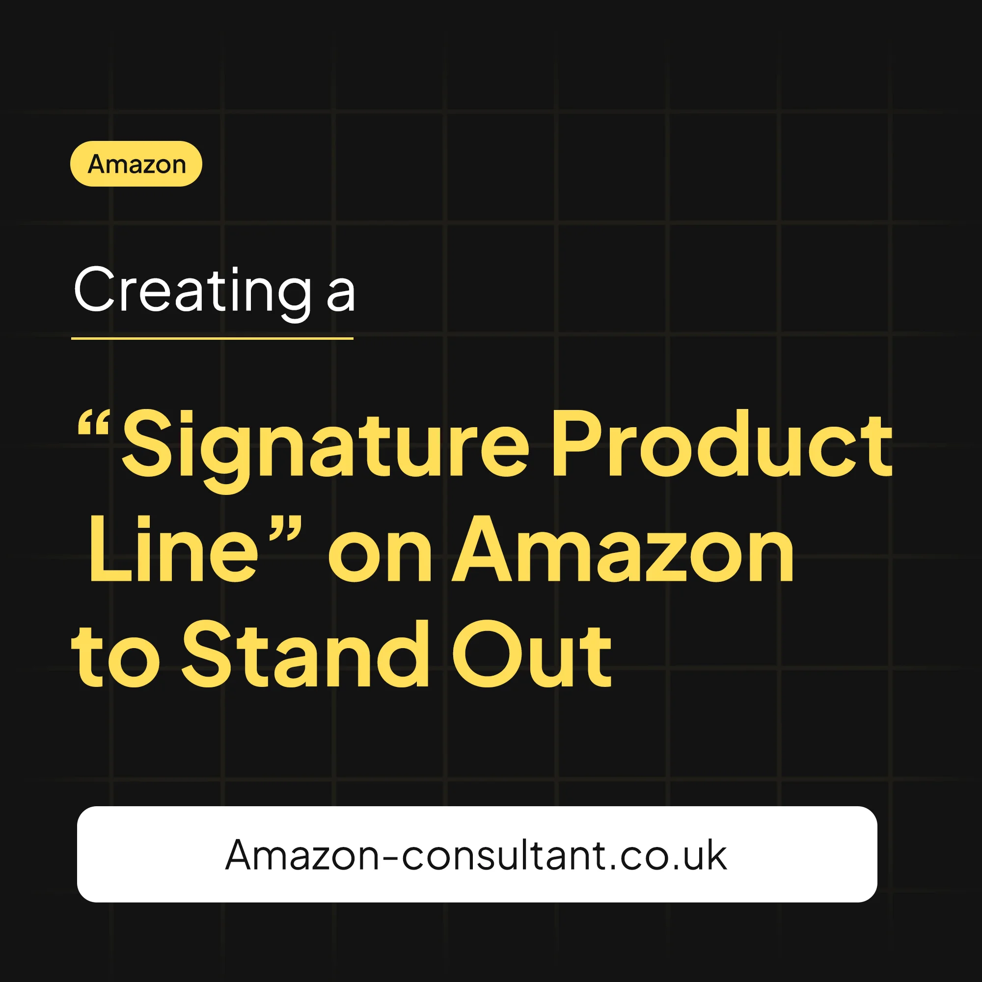 Creating a “Signature Product Line” on Amazon to Stand Out