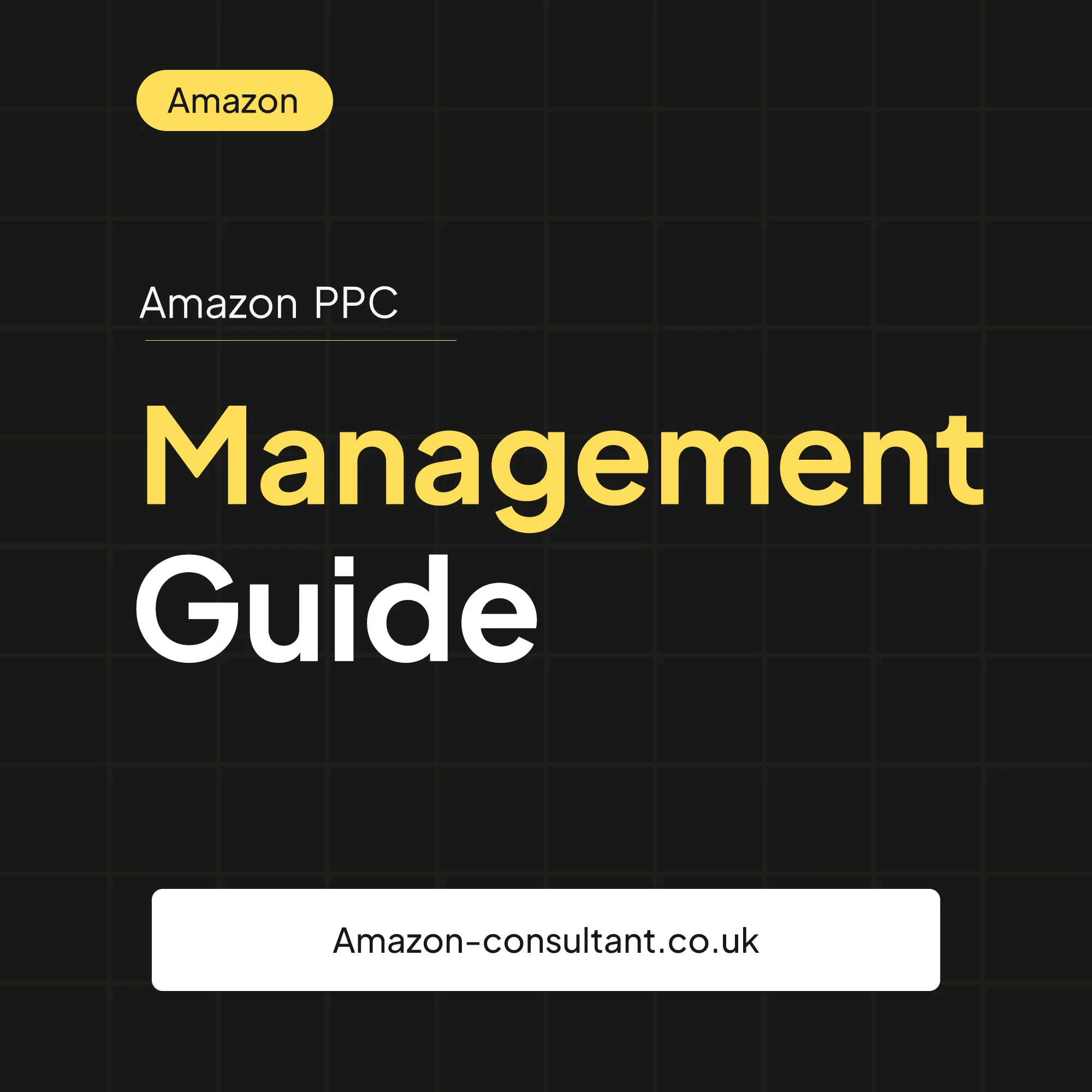 Amazon PPC Management Guide