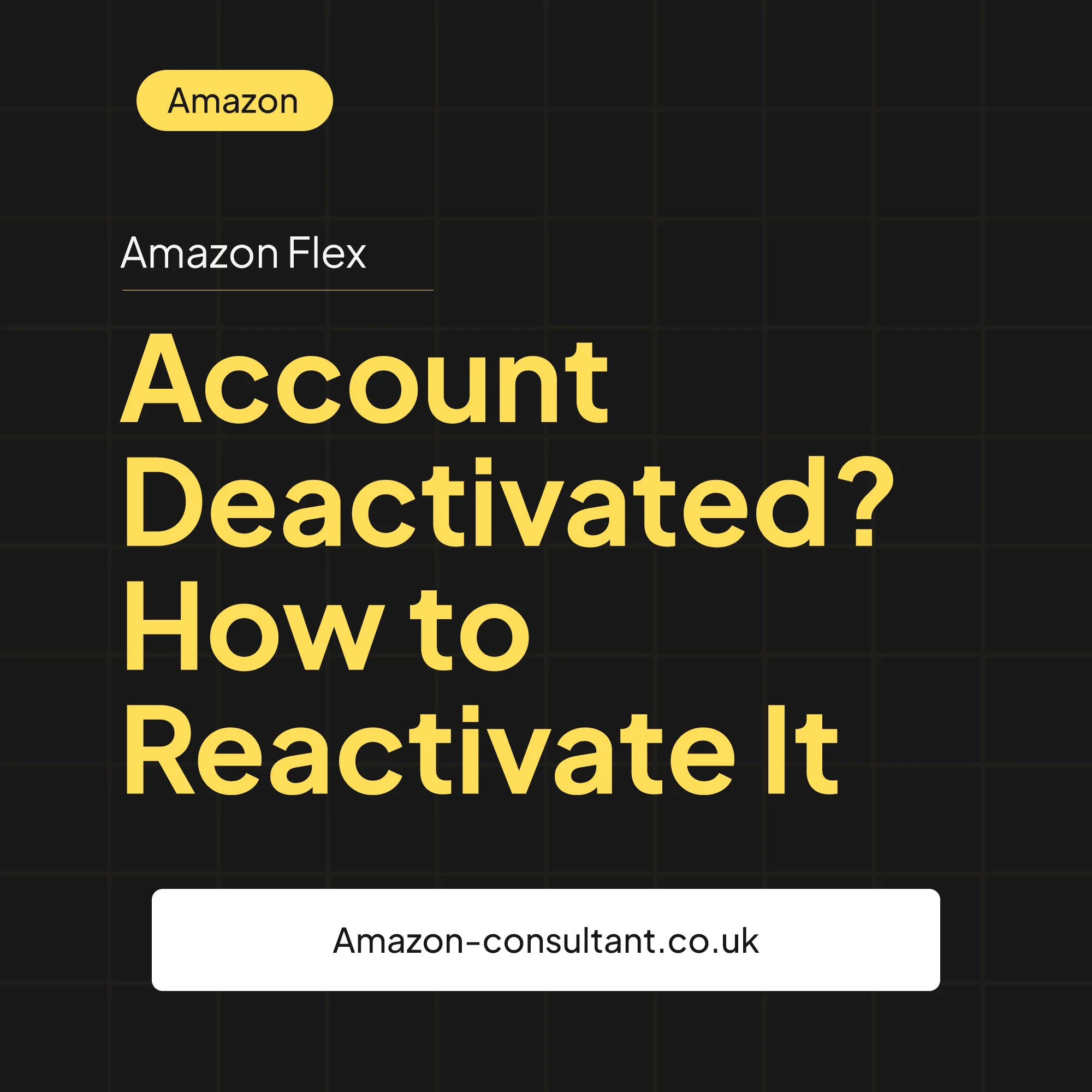Amazon Flex Account Deactivated How to Reactivate It